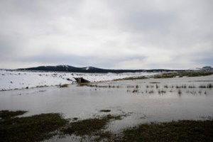 Yağışlar Ekimi Geciktiriyor