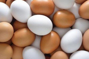 Yumurtada mide bulandıran oyun