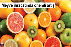 Yunanistan`ın meyve ihracatında önemli artış