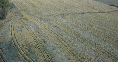 Tekirdağ`da Dolu ve Fırtına Ekili Alanlara Zarar Verdi