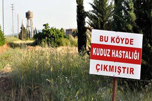 Adıyaman`da kuduz hastalığı karantinası