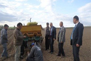 Çiftçiler Patates ve Soğan Üretimine Yöneldi