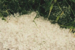 Dolu Yağışı Araban Ovası`ndaki Hububat Ekili Alanlara Zarar Verdi