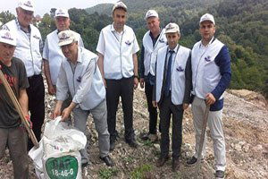 Fatsa`da Ceviz Fidanı Dikimi