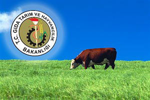 10 Bin Koloni Kafkas Arısına ve 28 Bin Anadolu Mandasına Destek