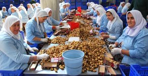 İncir Üreticiden 5 Liraya Çıkıyor, Markette 32 Liraya Satılıyor