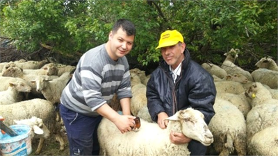 Malkara`da Küçükbaş Hayvanlar Aşılandı