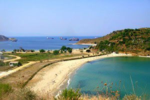 Marmara Denizi`nde İki Ada `Organik` Olacak