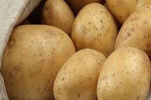 Patatesteki yüksek fiyat üretime yansıyacak