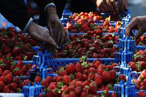 Rus iadesinde iç rahatlatan açıklama