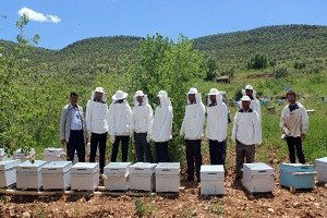 Savur`da Arıcılık Projesi Hayata Geçirildi
