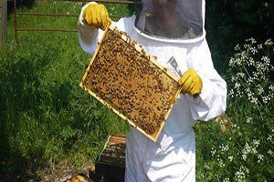 Türkiye arıcılıkta zirveyi hedefliyor