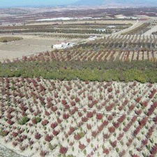 Korkuteli`nde 56 Bin 860 Dekar Tarım Alanı Suya Kavuşuyor