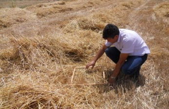 Dalaman`da Biçerdöver Kontrolleri Başladı