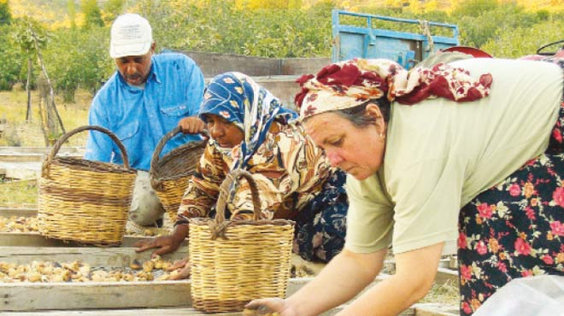 735 tarım işletmesinden 2.6 milyar liralık yatırım