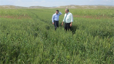 Çiftçilere `tarım sigortası` çağrısı