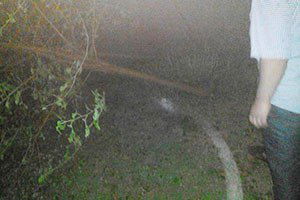 Akçakale`de çıkan fırtına tarım alanlarına zarar verdi