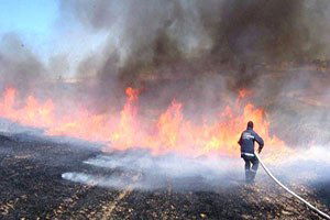 Anız Yakan Çiftçilere Ceza Kapıda