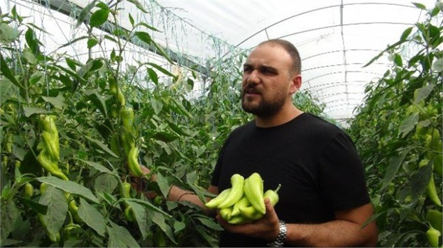Mersinli Biber Üreticilerine Hayat Veren Proje