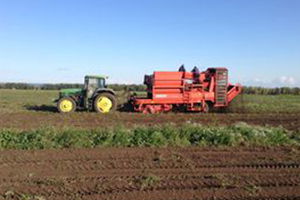 Tarım, Hayvancılık ve Tarım Makinaları: Uluslararası Tarla Günleri