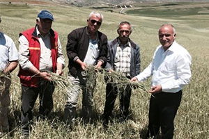 İç Anadolu`nun Tarım Ambarları Haymana ve Polatlı`da Düşüş Var