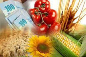 Kumluca`da 2 Bin 997 Çiftçi Desteklemeden Yararlandı