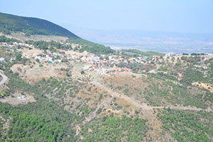 Manisa`da 2 Bin 435 Adet 2/b Arazisi Satıldı