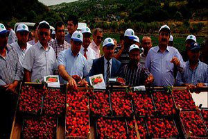 Organik tarım umut veriyor