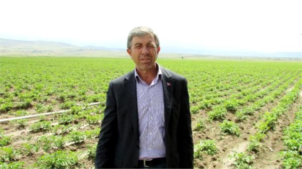 Patates Ambarı Sandıklı`da Hasat Gecikti