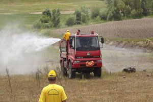 Seydişehir`de Çekirgeler İlaçlanıyor
