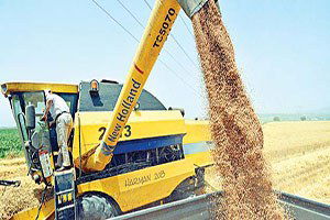 Topraklara bereket yağdı