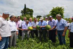 Samsun`un Bafra ilçesinde Karpuz Hasadı Etkinliği düzenlendi.