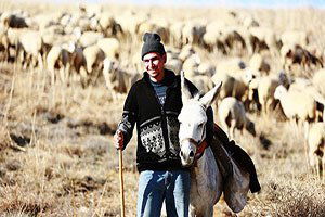 Çoban açığına mülteci önerisi