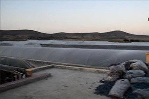 Çubuk`un Dev Serasında İlk Ürün