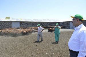 DAP`ta besicilik açılımı