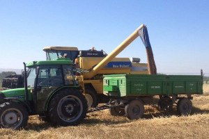 Eskişehir`de Hasat Zamanı