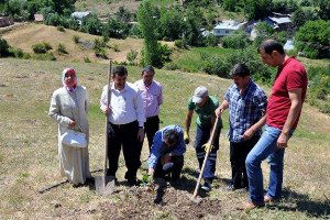 Gümüşhane`de Ceviz Fidanları Toprakla Buluştu