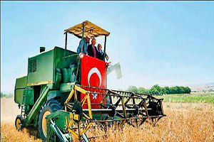 Haymana`da hasat bayramı