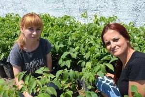 İki Genç Bayan Girişimci Ceviz Fidanlığı Danışmanlığı Yapıyor