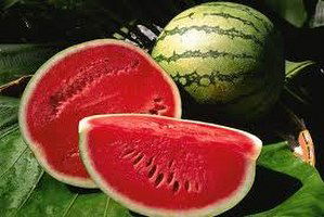 Ürün Tarlada Kaldı, Karpuz Fiyatları Dip Yaptı