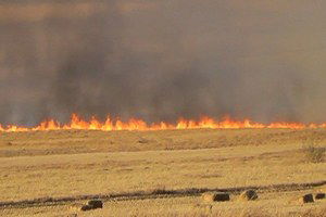 Kulu`da Anız Yangını