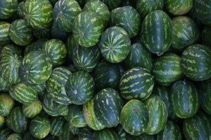 Ödemiş`te Karpuz Fiyatı Dibe Vurdu