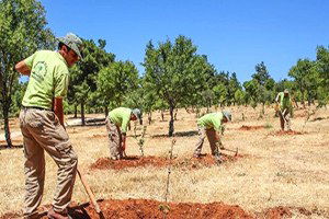 Şehitkamil Belediyesi`nin Örnek Projesi Meyve Verdi