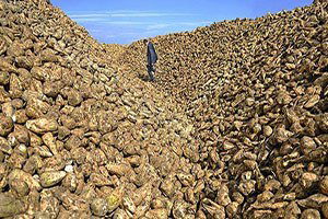 `Şeker stokları talebi karşılar`