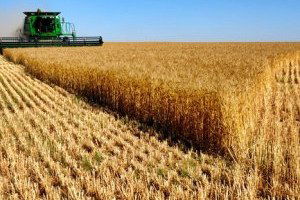 21 tarımsal projeye 10 milyon TL hibe