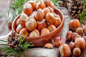 TZOB`un fındık rekolte tahmini 590 bin ton