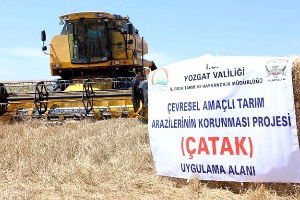 Yozgat`ta Çatak Kapsamında Deneme Eğitimi Yapılan Tarlada Hasat Gerçekleştirildi