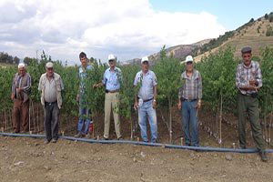 Acıpınar`da Dev Tarım İşletmesi