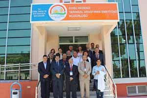 Adana, Irak`a buğday ihraç edecek