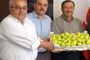 Aydın`da Güneş Enerjisiyle Soğutma